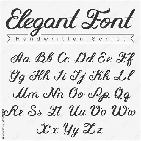 Elegant Handwritten Calligraphy Script Font Design Vector Stock Vector