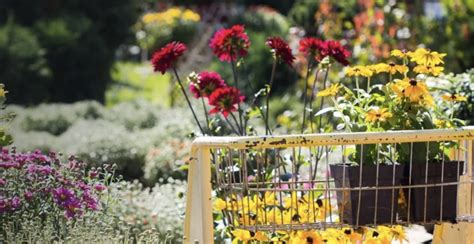 Step Into Spring At The Great Big Home Garden Show Travel Today