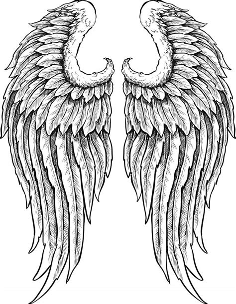 Feather Wings Drawing Free Download On Clipartmag