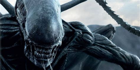 Covenant stars michael fassbender and noomi rapace. Alien: Covenant Sequel is Not a Given | Screen Rant
