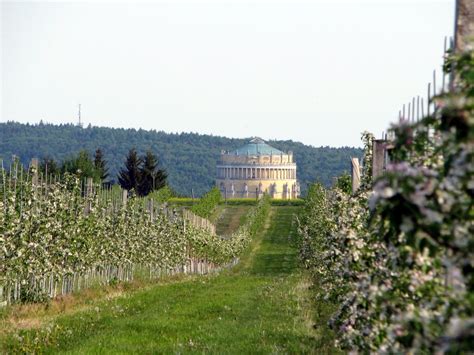 See locations, reviews, times, & insurance options. SV Ihrlerstein - Der Torschützenkönig des Turniers Alex...