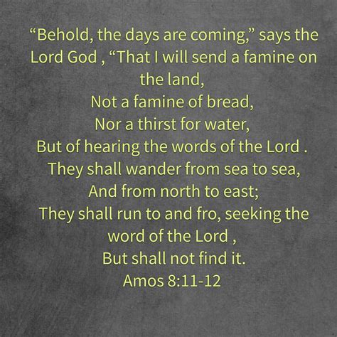 Amos 811 12 The Days Of Not Hearing The Word Of The Lord Scripture