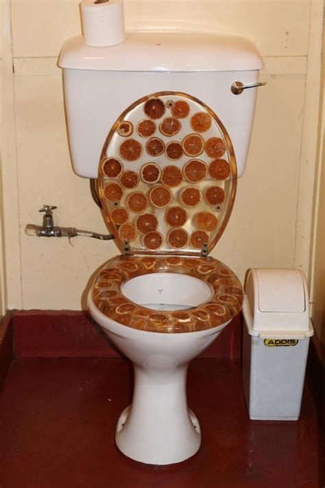 Weird Pictures Of Toilets Memebase Toilets All Your Memes In Our Base Funny Memes Cheezburger