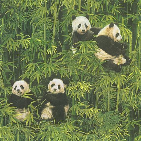 Easter Pandas Wallpapers Wallpaper Cave