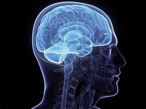 The digestive system is profoundly controlled by the mind (brain), and anxiety, depression, and fear dramatically. Healthy mind in healthy body: lifelong exercise keeps the ...