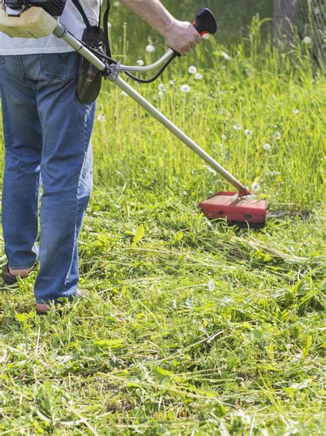 Man Mows Tall Green Grass Petrol Trimmer Stock Image Image Of Green
