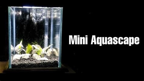 Aquascape merupakan salah satu aksesoris yang sangat penting bagi anda pecinta binatang air. Cara Membuat Aquascape Mini - YouTube