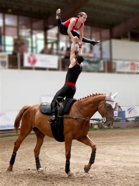 Elin härkönen har varit helt bortklopplad från världen i elva dagar. DEUX PODIUMS POUR LES FRANCAIS DANS LE CVI 3* DE BERNE ...