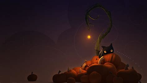 Black Cat Pumpkin Halloween Hd Wallpaper Pxfuel