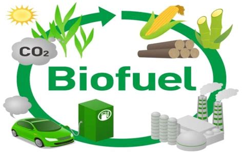 8 Top Sources Of Biofuel