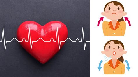 Your heart skipping a beat is known as a heart palpitation, and a repeated disruption of its rhythmic beat have you ever felt your heartbeat flutter or pause? How to Calm a Fast Heartbeat (Tachycardia) - YouTube