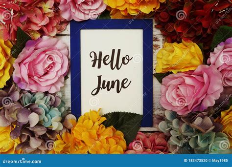 Hello June Card With Colorful Flowers Border Frame On Wooden Background