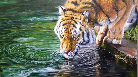 Acrylic Painting Tiger Speed Painting Youtube