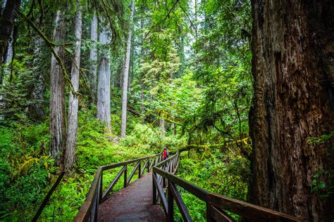 Hiking Amongst Giants At Redwood National And State Parks Part 1