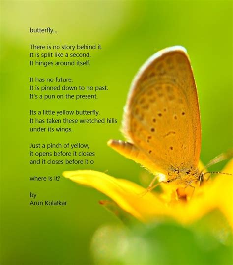 Spiritual Butterfly Sympathy Memorial Tribute Poem By 60 Off