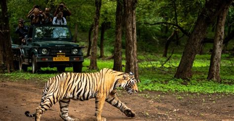 Top Tourist Places In Pench Pench National Park Sterling Holidays