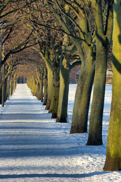 Maybe you would like to learn more about one of these? Winter Snow and Ice Removal | Indianapolis