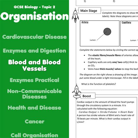 Blood And Blood Vessels Home Learning Worksheet Gcse Teaching Resources