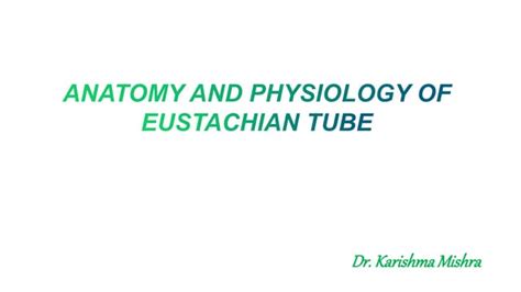 Anatomy And Physiology Of Eustachian Tubepptx