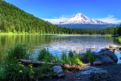 Trillium Lake And Mt Hood Photograph By Carolyn Derstine