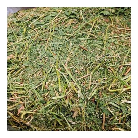 Alfalfa Hay At Best Price In India