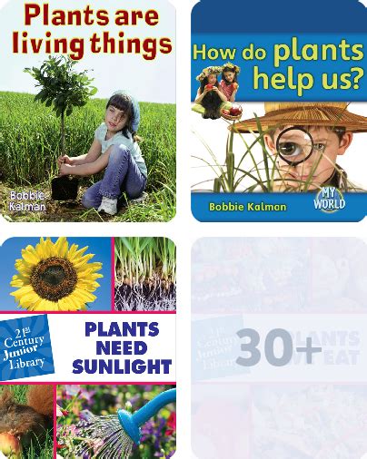 All About Plants Childrens Book Collection Discover Epic Childrens