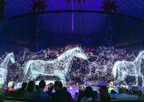 German circus using holographic animals