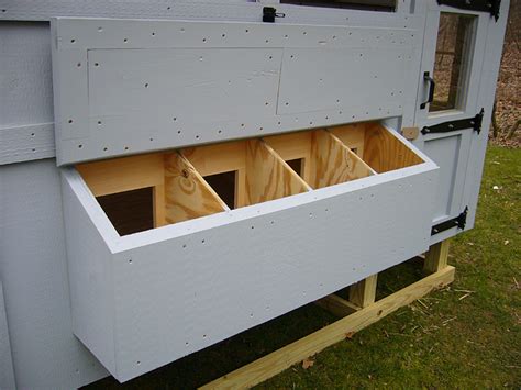 6 Considerations For Building Chicken Coop Nesting Boxes The Poultry