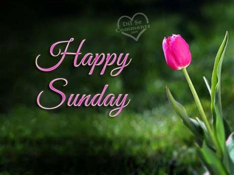 Happy Sunday Pictures Photos And Images For Facebook