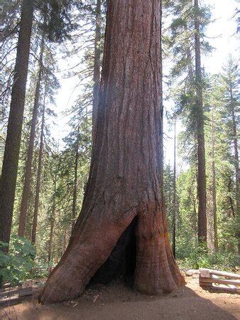 Best Bay Area Tours (San Francisco) - 2021 All You Need to Know BEFORE