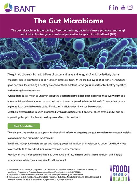 The Gut Microbiome Nutrition Dynamics