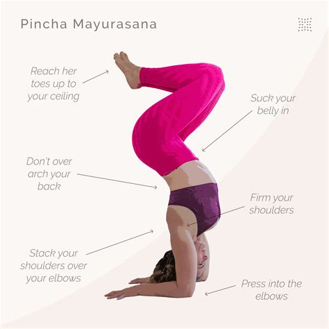 Yoga Pincha Mayurasana Benefits