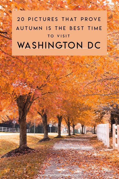 5 Places To See Beautiful Fall Foliage In The Washington Dc Area Visiting Washington Dc Fall