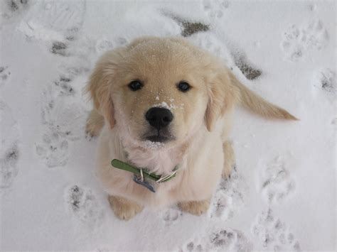 Check spelling or type a new query. Hi! Whatcha up to? | Cute Animals | Pinterest | Jokes ...