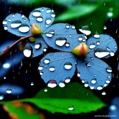 Premium Ai Image Raindrops Fall A Gentle Songquenching The Earth