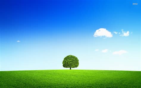 Lonely Tree Wallpapers Top Free Lonely Tree Backgrounds Wallpaperaccess
