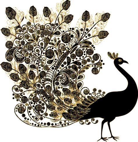 Visual Arts,Bird,Indian Peafowl PNG Clipart - Royalty Free SVG / PNG