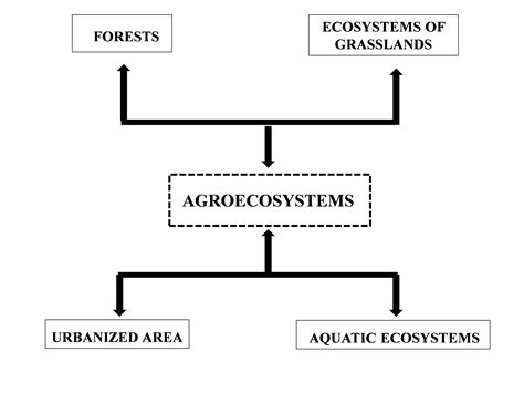 .of biodiversity in agroecosystems • biodiversity and insect pest management • soil ecology and management • ecological basis of disease and figure 2. Plant Diversity in Agroecosystems and Agricultural ...