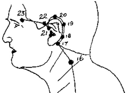 Shared Post Top 6 Pressure Points Of The Head