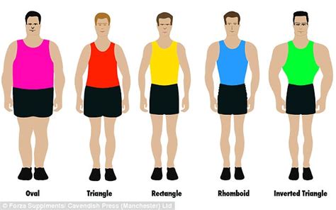 What Is The Ideal Body Type