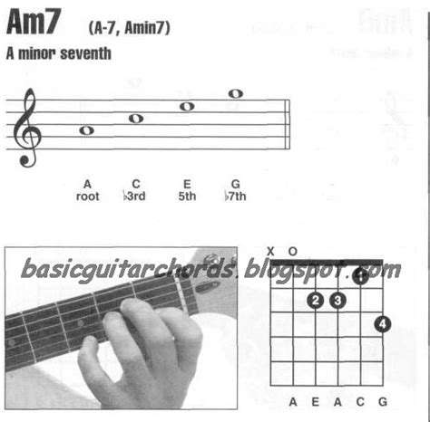 Basic Guitar Chords Minor 7th Am7 Guitar Chord