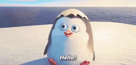 Cute Penguin Hello GIF - Penguin Hello Dayofpenguin - Discover & Share GIFs