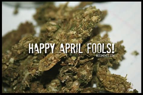 Happy April Fools Day Stoners Weed Memes