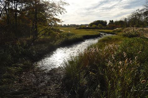 What Will It Take To Bring Spring Creek Back To Life Curbed Ny
