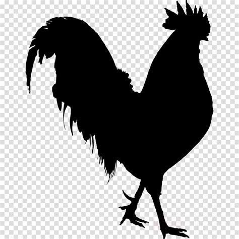 Free Rooster Silhouette Cliparts Download Free Rooster Silhouette Cliparts Png Images Free