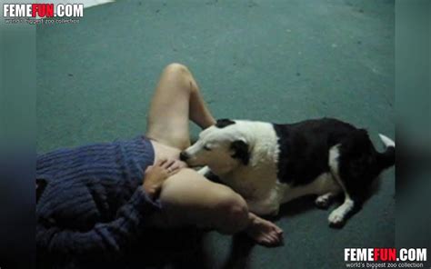 Horny School Teacher Makes The Dog Lick Her Wet Pussy