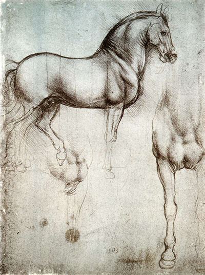 Leonardo Da Vinci Drawings