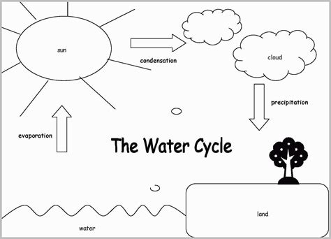 Water Cycle Coloring Book Coloring Pages