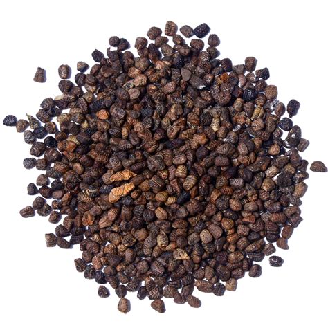 Spice │ Cardamom Seed
