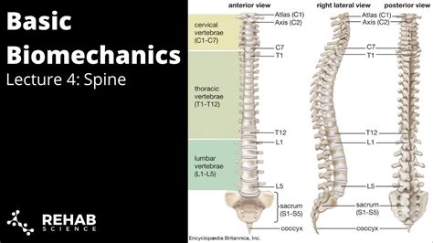 Biomechanics Lecture Spine YouTube